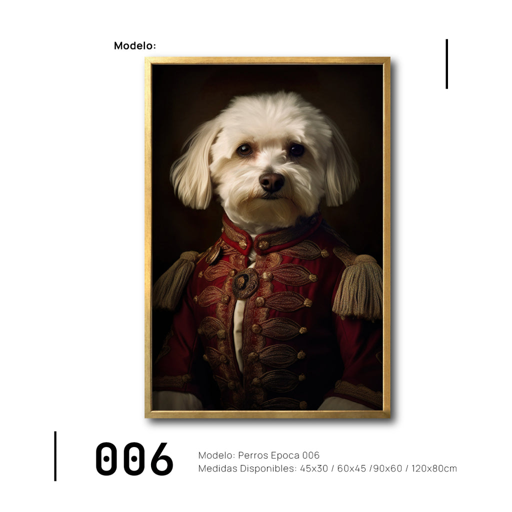 Venta de cuadros decorativos Canvas Perros Época  para tu recámara Animales Clásicos, moderno, cuerpo de humano, antropomórficos. Havanese 