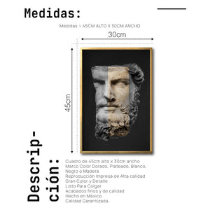 Cuadro Decorativo Esculturas 007 Hércules para Sala