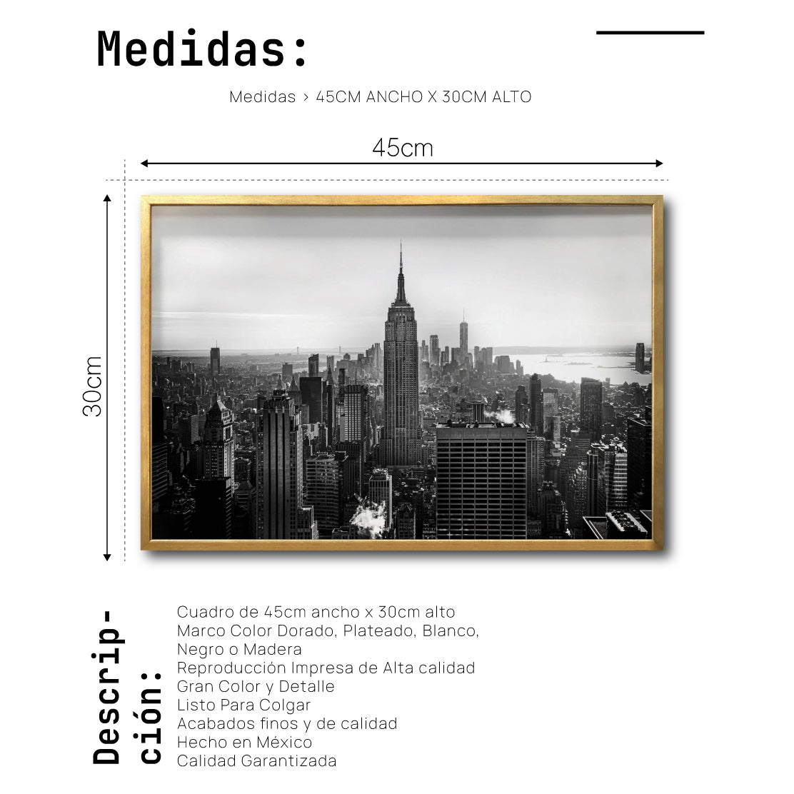 Cuadro Decorativo NY 007 - Empire State New York