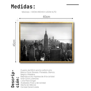Cuadro Decorativo NY 007 - Empire State New York