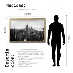 Cuadro Decorativo NY 007 - Empire State New York