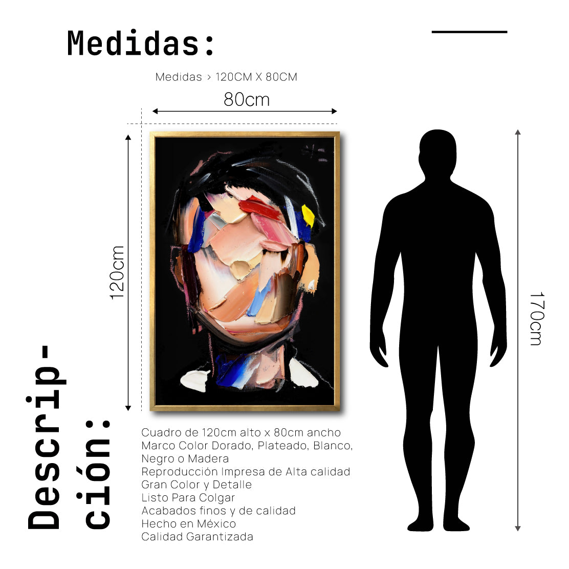 Cuadro Decorativo Abstract Portrait 007