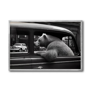 Cuadro Decorativo Animals Car Window 007