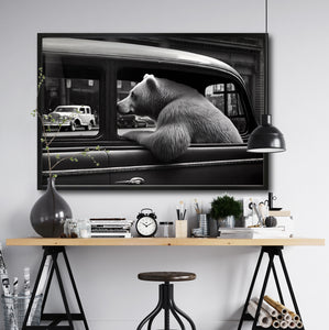 Venta de cuadros decorativos Canvas Animals Car window para tu comedor.  Animales Clásicos, moderno, Blanco y Negro. Oso.