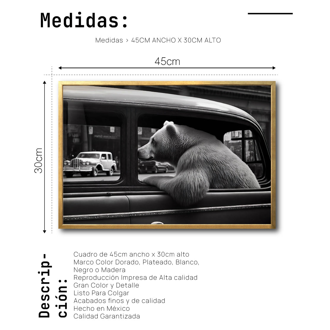 Cuadro Decorativo Animals Car Window 007