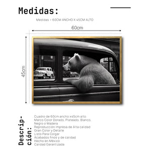 Cuadro Decorativo Animals Car Window 007