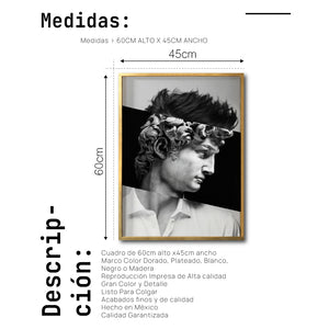 Cuadro Decorativo Rostros 007 El David de Miguel Ángel