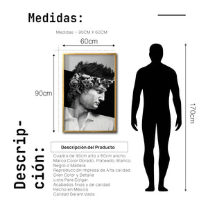 Cuadro Decorativo Rostros 007 El David de Miguel Ángel