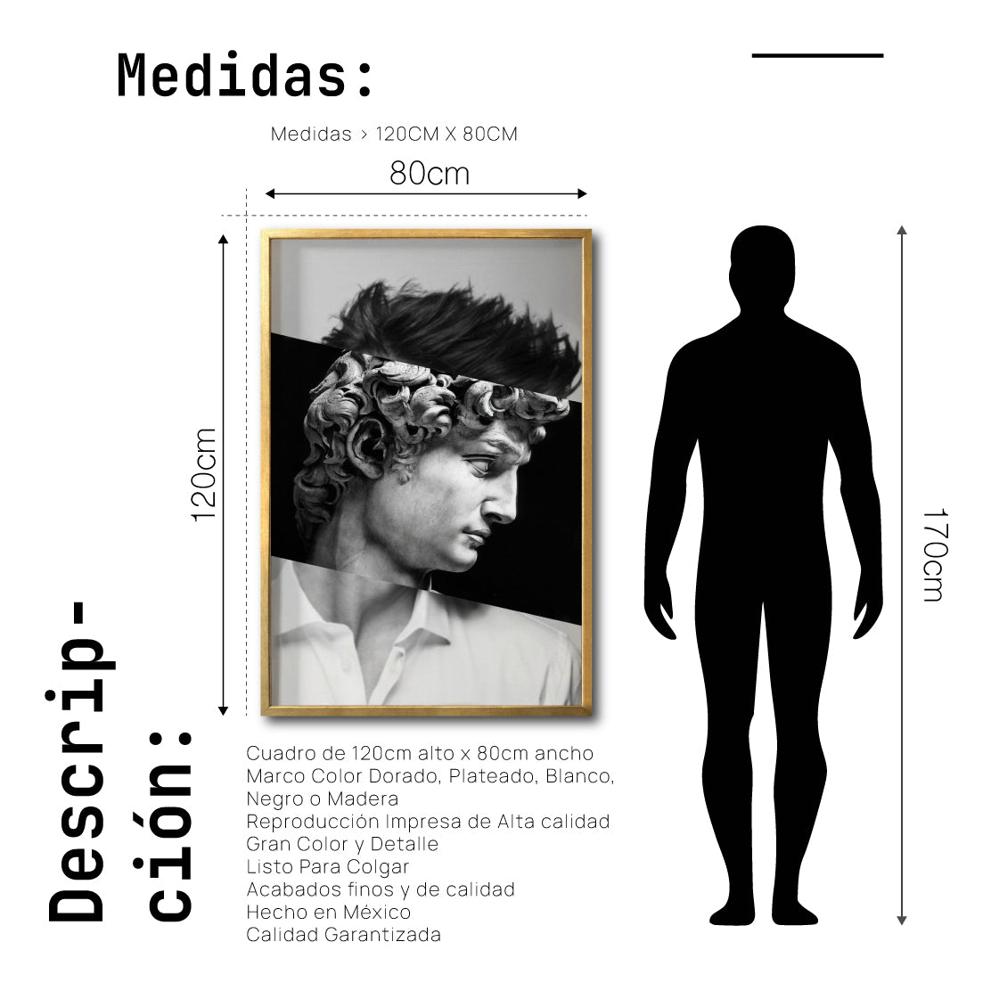 Cuadro Decorativo Rostros 007 El David de Miguel Ángel