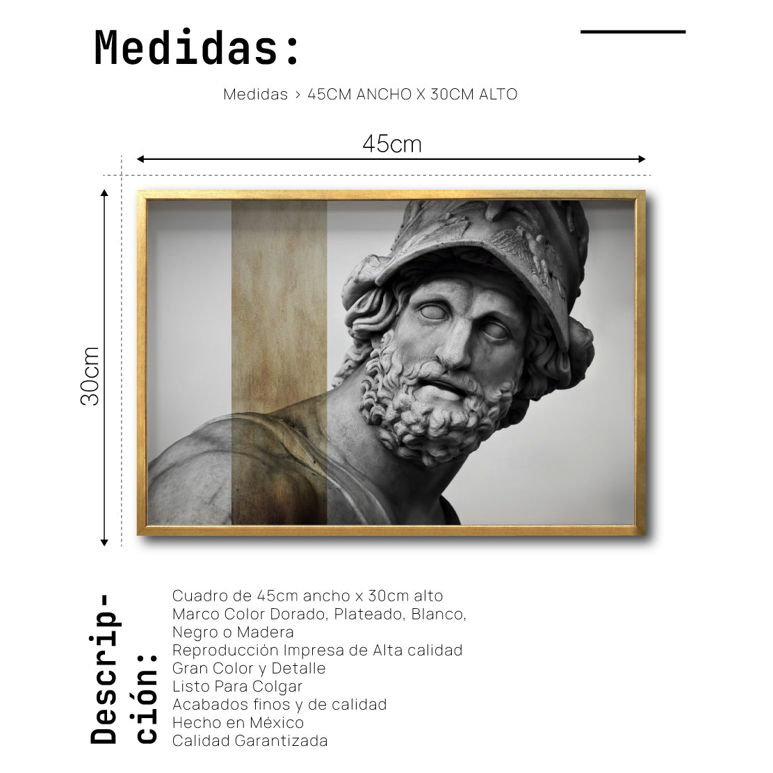 Cuadro Decorativo Esculturas 008 Menelao para Comedor