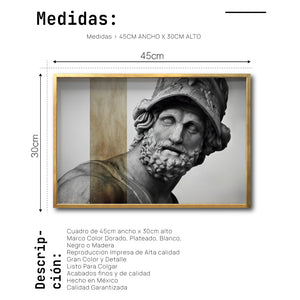 Cuadro Decorativo Esculturas 008 Menelao para Comedor