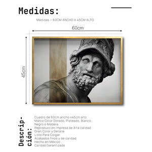 Cuadro Decorativo Esculturas 008 Menelao para Comedor
