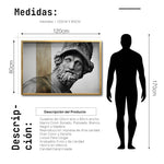 Cargar imagen en el visor de la galería, Cuadro Decorativo Esculturas 008 Menelao para Comedor
