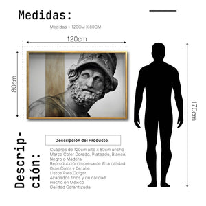 Cuadro Decorativo Esculturas 008 Menelao para Comedor