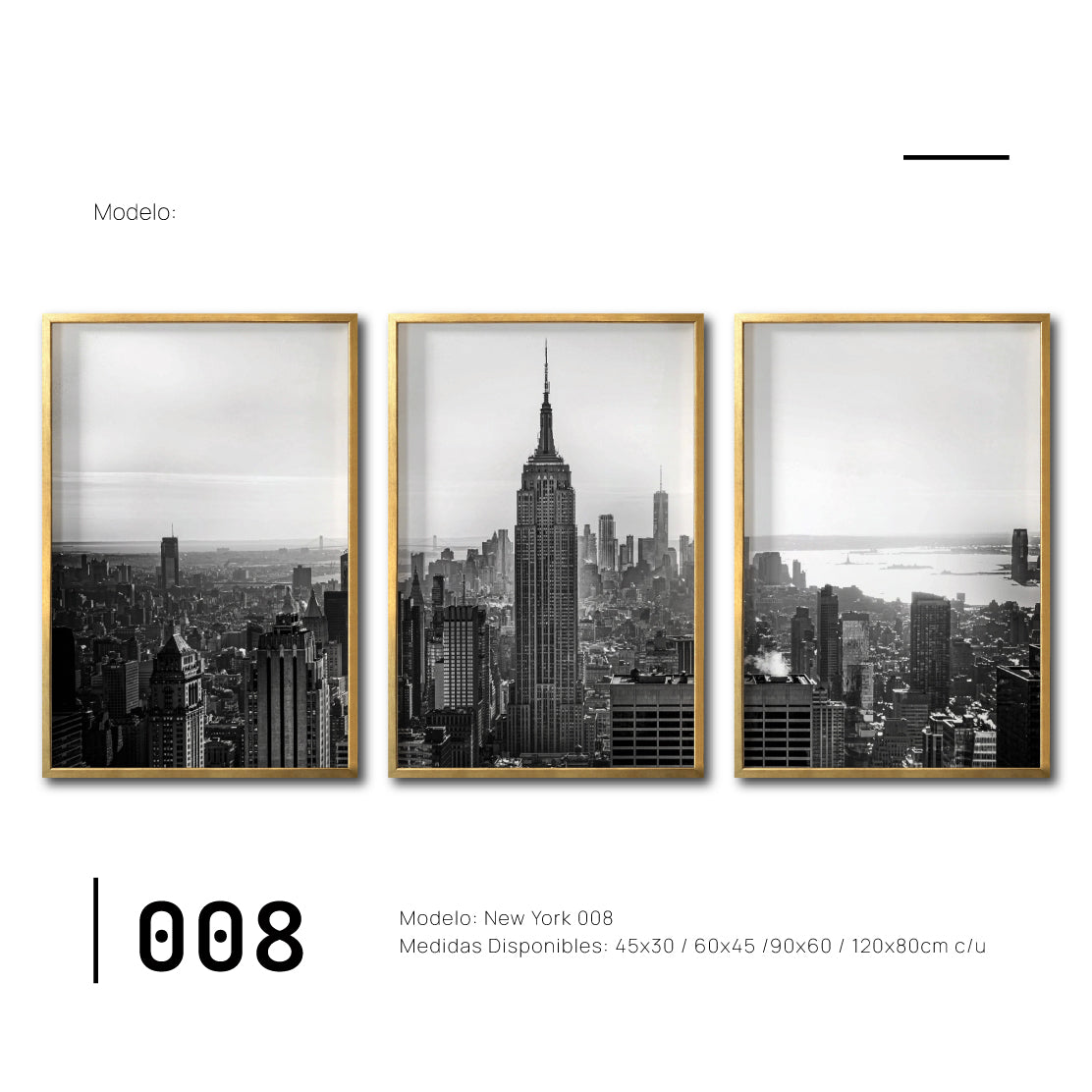 Set Cuadros Decorativos NY 008 -    Triptico New York Manhattan Empire State