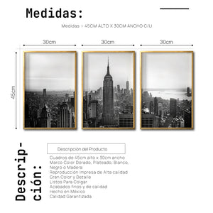 Set Cuadros Decorativos NY 008 -    Triptico New York Manhattan Empire State