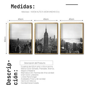 Set Cuadros Decorativos NY 008 -    Triptico New York Manhattan Empire State