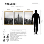 Cargar imagen en el visor de la galería, Set Cuadros Decorativos NY 008 -    Triptico New York Manhattan Empire State

