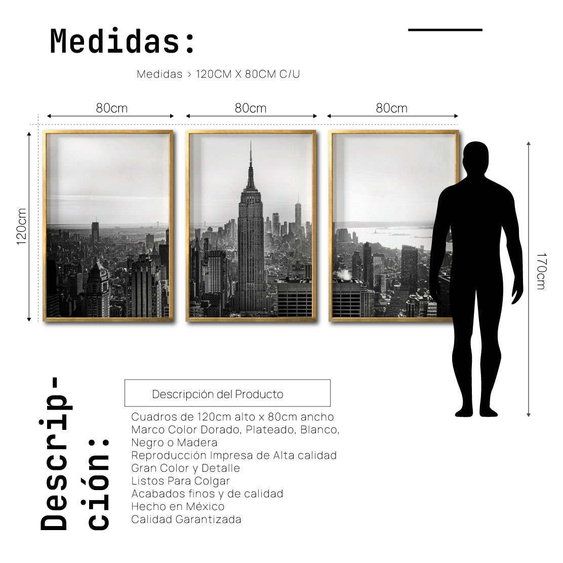 Set Cuadros Decorativos NY 008 -    Triptico New York Manhattan Empire State