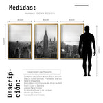 Cargar imagen en el visor de la galería, Set Cuadros Decorativos NY 008 -    Triptico New York Manhattan Empire State
