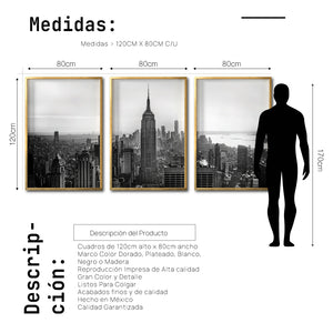 Set Cuadros Decorativos NY 008 -    Triptico New York Manhattan Empire State