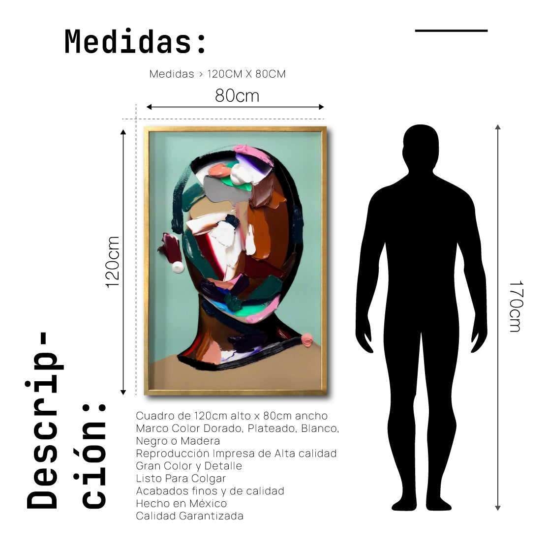 Cuadro Decorativo Abstract Portrait 008