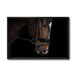Cargar imagen en el visor de la galería, Cuadro Decorativo Caballos 008
