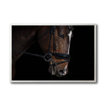 Cargar imagen en el visor de la galería, Cuadro Decorativo Caballos 008
