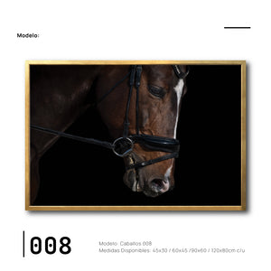 Cuadros elegantes de Caballos para comedor. Ciudad de México. Galería 314.