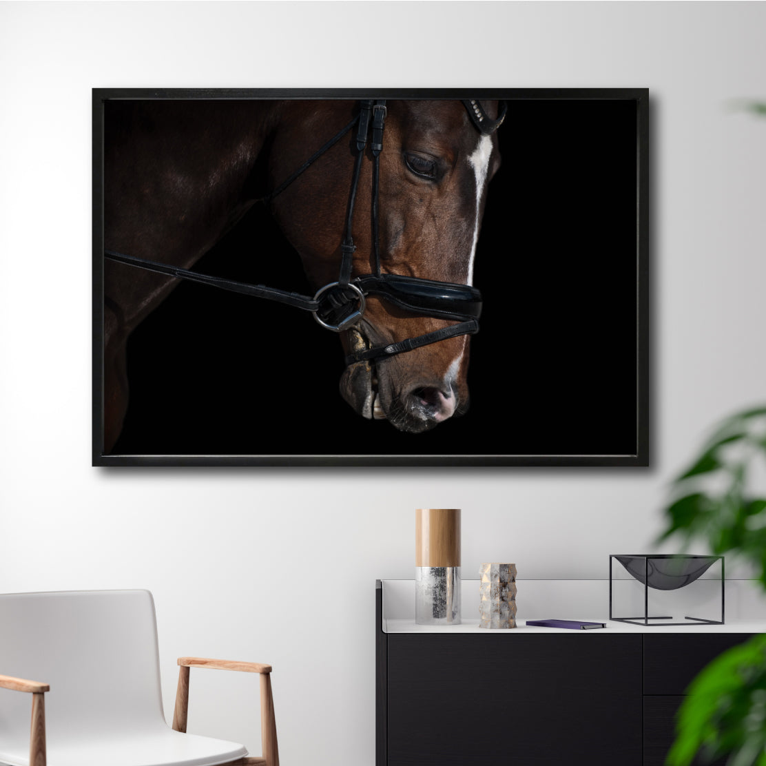 Cuadro Decorativo Caballos 008