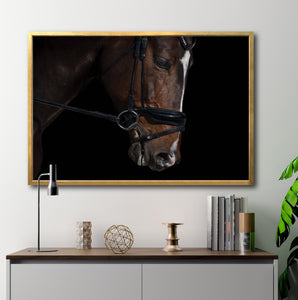 Cuadro Decorativo Caballos 008