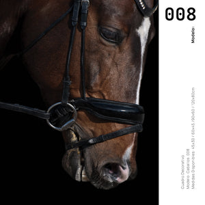 Cuadro Decorativo Caballos 008