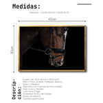 Cargar imagen en el visor de la galería, Cuadro Decorativo Caballos 008
