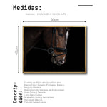 Cargar imagen en el visor de la galería, Cuadro Decorativo Caballos 008

