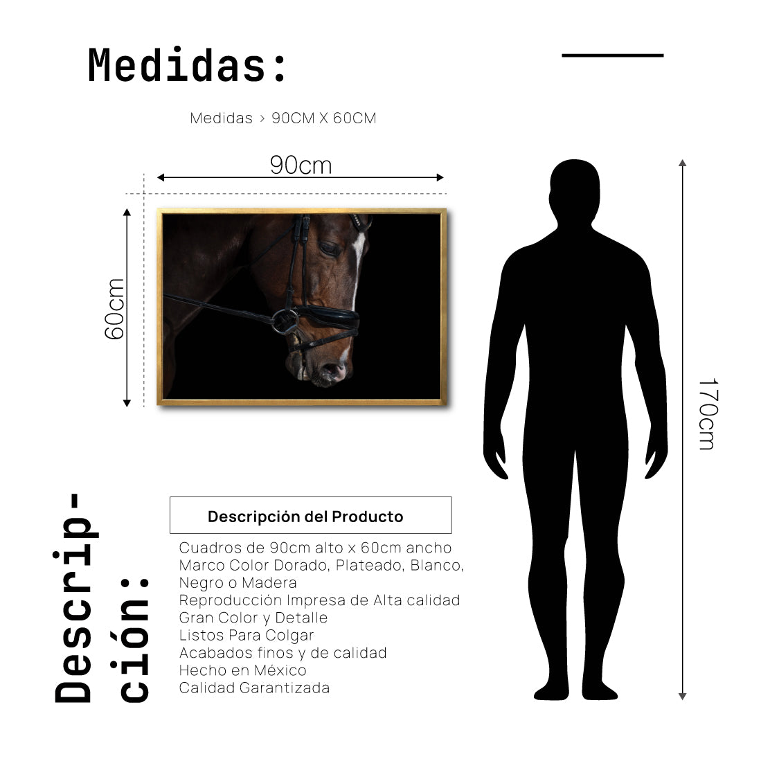 Cuadro Decorativo Caballos 008