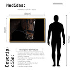 Cargar imagen en el visor de la galería, Cuadro Decorativo Caballos 008
