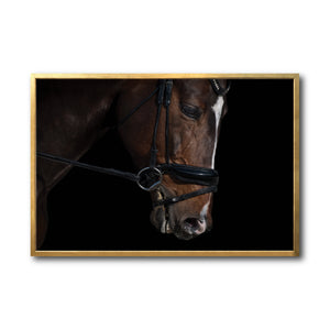 Cuadro Decorativo Caballos 008