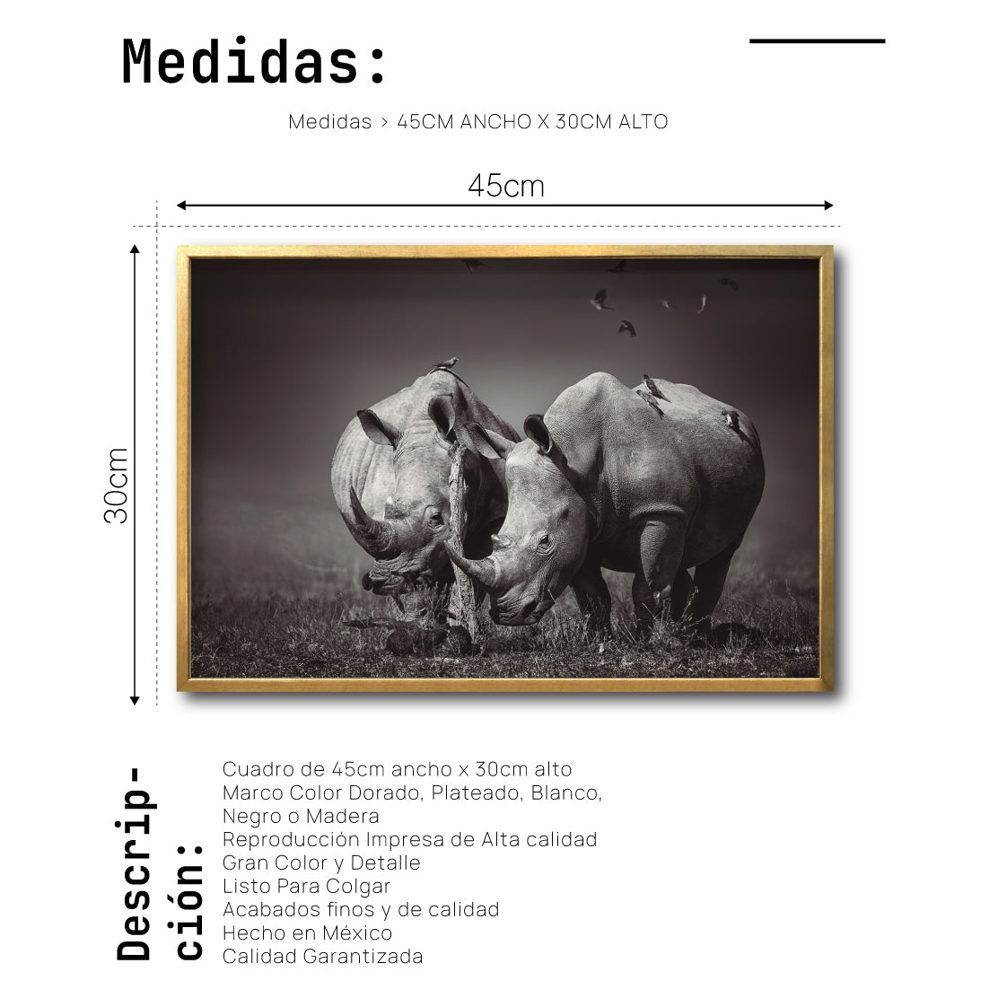 Cuadro Decorativo Fauna 008 - Pareja Rinocerontes Blanco y Negro