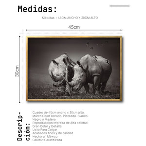 Cuadro Decorativo Fauna 008 - Pareja Rinocerontes Blanco y Negro