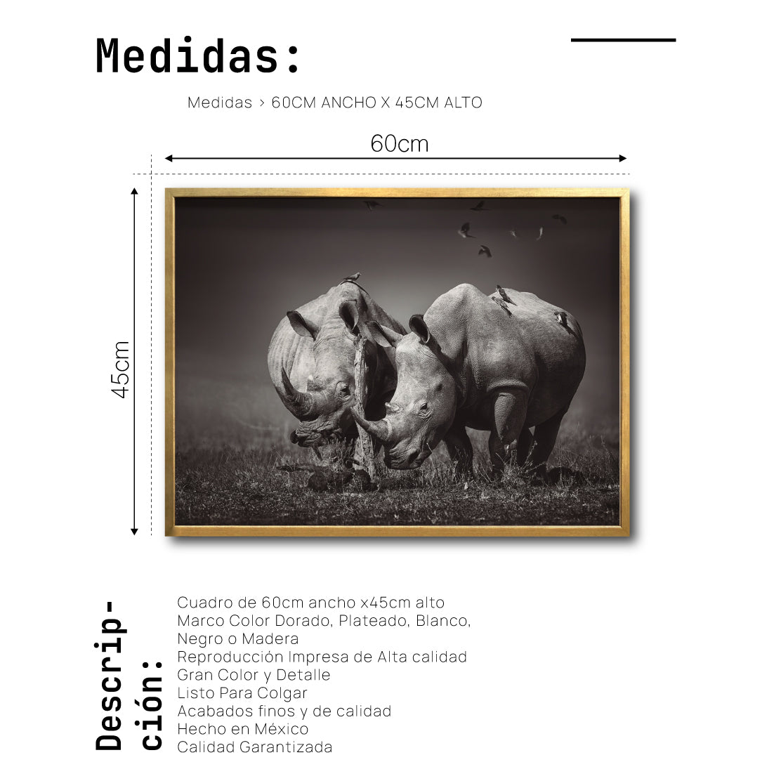 Cuadro Decorativo Fauna 008 - Pareja Rinocerontes Blanco y Negro