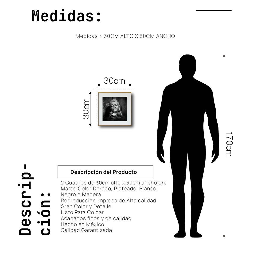 Cuadro Decorativo - Zen 008 - Cabeza de Buda
