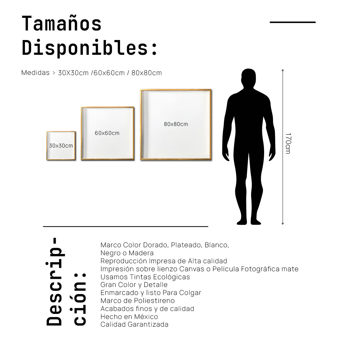 Cuadro Decorativo - Zen 008 - Cabeza de Buda