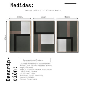 Set 3 Cuadros Decorativos Abstract Colors 009 - Para Credenza