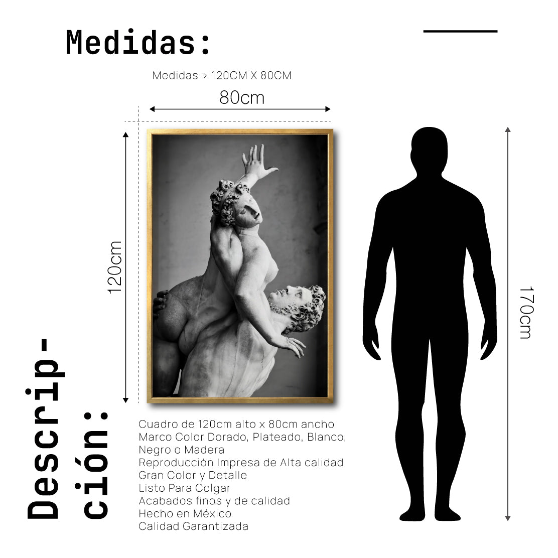 Cuadro Decorativo Esculturas 009 El Rapto de Proserpina