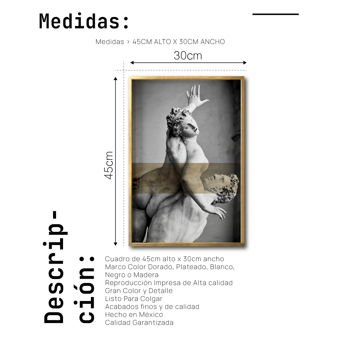 Cuadro Decorativo Esculturas 009 El Rapto de Proserpina