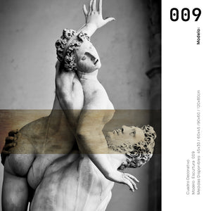 Cuadro Decorativo Esculturas 009 El Rapto de Proserpina