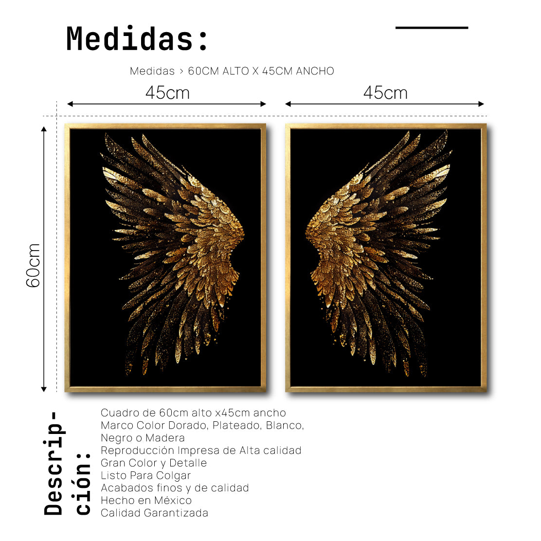 Set Cuadros Decorativos Alas 009