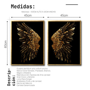 Set Cuadros Decorativos Alas 009