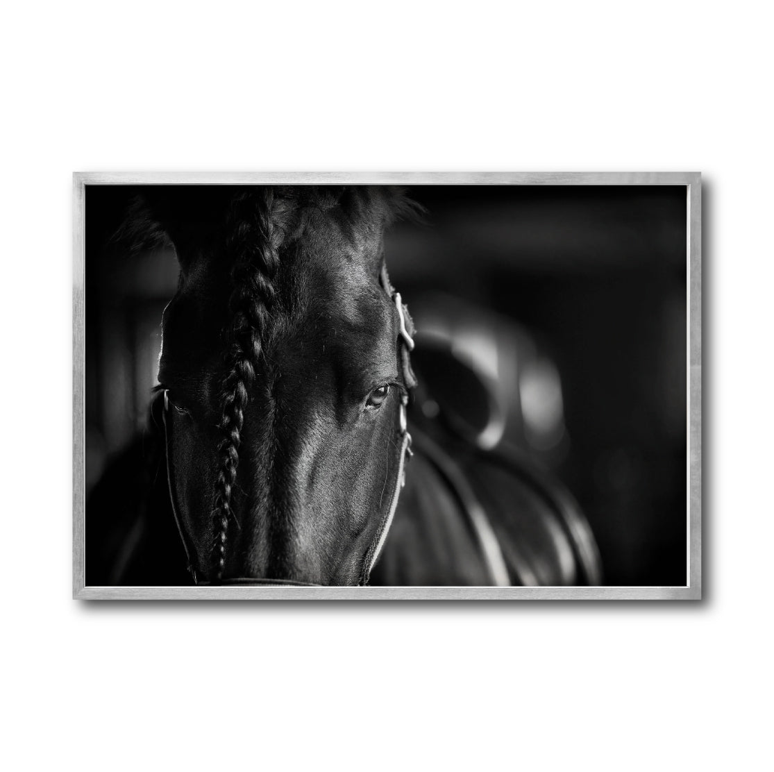 Cuadro Decorativo Caballos 009