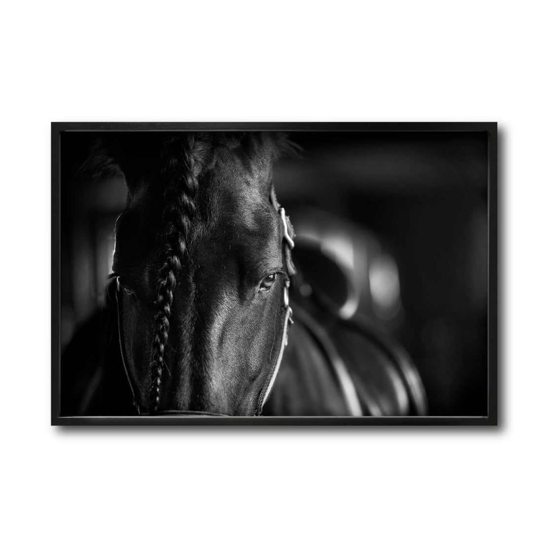 Cuadro Decorativo Caballos 009